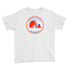 quebec nordiques hockey team Youth Tee