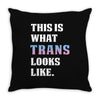 This is What Trans Looks Like Throw Pillow