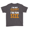 I Am Not Short I Am Fun Size Youth Tee