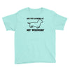 are you looking at my weiner t shirt funny dog wiener dachshund s m l Youth Tee