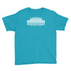 cold mountain Youth Tee