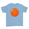 Dragon Ball 4 Star Youth Tee