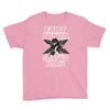 funny rfart ninja Youth Tee
