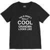 this is what a cool grandma looks like V-Neck Tee