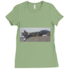 20170307 214809 1 Ladies Fitted T-Shirt