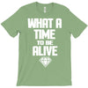 what a time to be alive T-Shirt