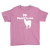 no prob llama funny llama Youth Tee