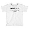 Feminist Noun Toddler T-shirt