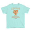 Hawkins High School Youth Tee
