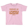 litchfiel Toddler T-shirt