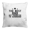the best dad Throw Pillow