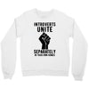 introverts unite separately in your own homes Crewneck Sweatshirt