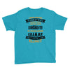 Super Cool Granddaughter Of A Freaking Awesome Grammy Youth Tee