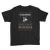 aquarius christmas ugly sweater Youth Tee