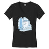 dental hygiene Women's V-Neck T-Shirt