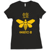 breaking bad   heisenberg chemicals   cult Ladies Fitted T-Shirt