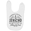Ferndale Detroit Baby Bibs