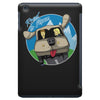 road to aspen iPad Mini