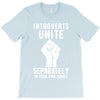 introverts unite separately in your own homes T-Shirt