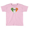 donnelly irish superhero Toddler T-shirt