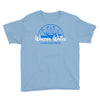 walter white laboratories Youth Tee