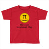 have an irrational day Toddler T-shirt