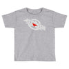 original assassin Toddler T-shirt