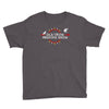 old crow medicine show tour Youth Tee