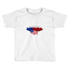 america flag Toddler T-shirt