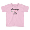 Grammy  est.2018 Toddler T-shirt