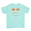 if you like my pumpkins! Youth Tee