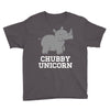 chubby unicorn rhino Youth Tee