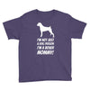 not just a dog person i'm a boxer mommy! Youth Tee