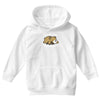 dreamer bear Youth Hoodie