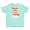 pumpkin spice and everything spooky Youth Tee