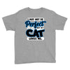 i may not be be perfect but my cat loves me Youth Tee