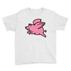 flying pig Youth Tee