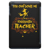 kindergarten teacher1 iPad Mini