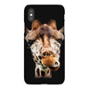 Zurafa iPhoneX