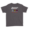 basements and kittens Youth Tee