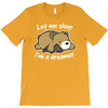 dreamer bear T-Shirt