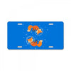 space fox License Plate