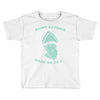 saint patrick made me do it Toddler T-shirt