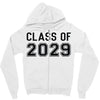 class of 2029 Zipper Hoodie