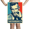 NOTORIOUS CONOR MCGREGOR Pencil Skirts