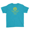 summerisle festival  funny Youth Tee