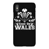 come on wales funny nations rugby iPhoneX