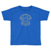 rock flag eagle national park Toddler T-shirt