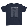 joy division unknown pleasures Youth Tee