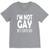 new i'm not gay but $20 is $20 V-Neck Tee